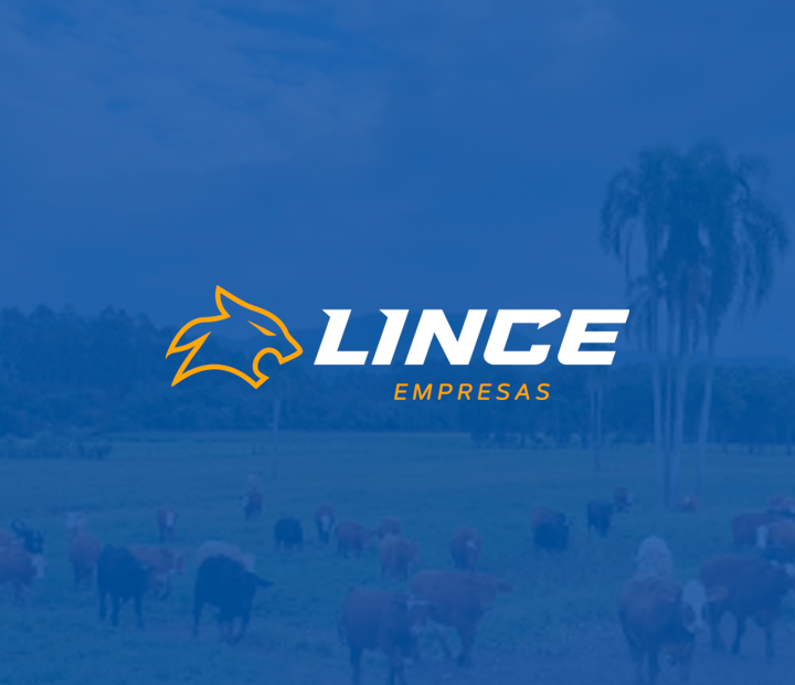 (c) Linceempresas.com.br