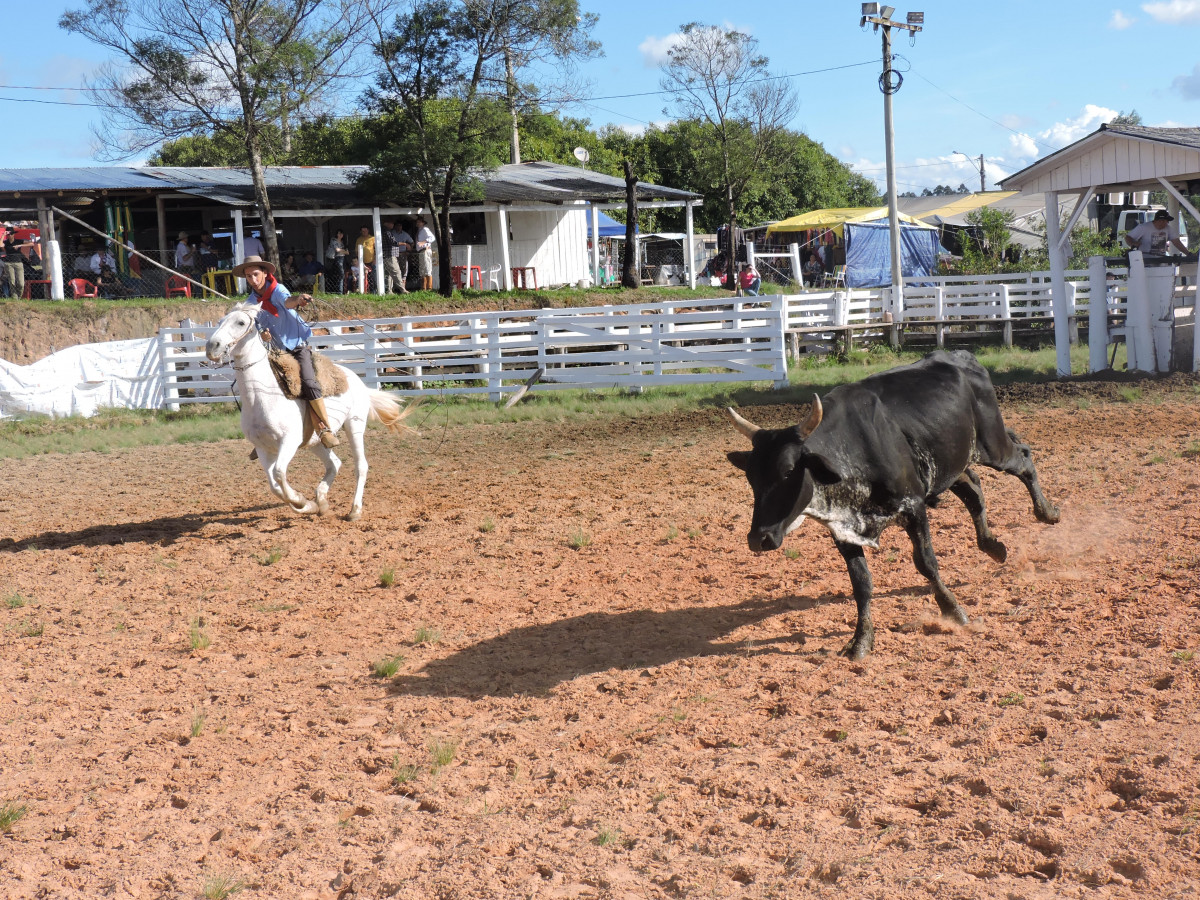 Rodeio crioulo ocorre em novembro na UCS