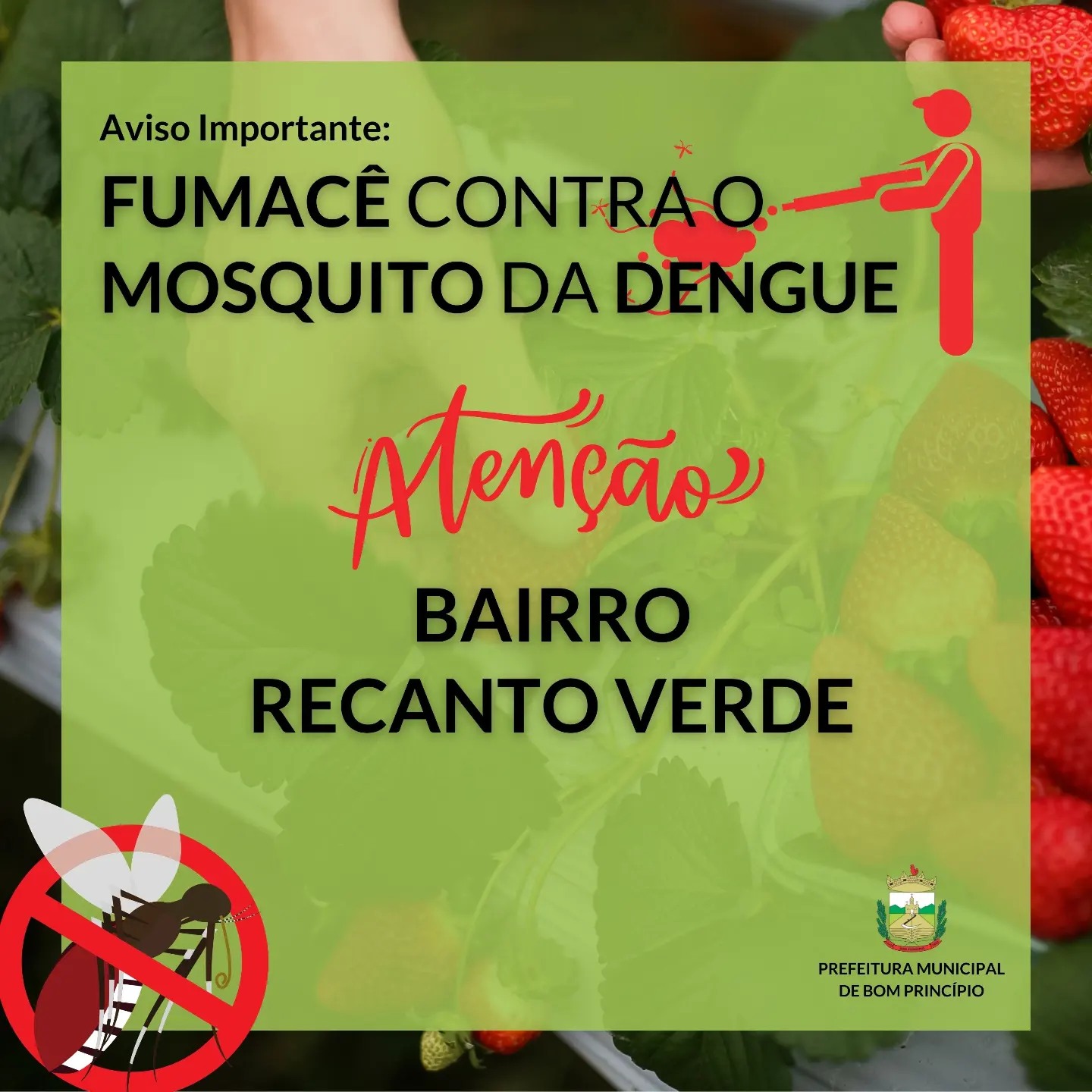 Confirmado mais um caso de dengue