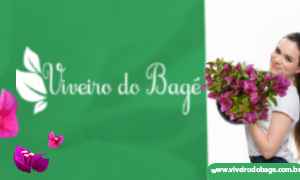 Viveiro do Bagé- PLANTAS ORNAMENTAIS, NATIVAS E EXÓTICAS