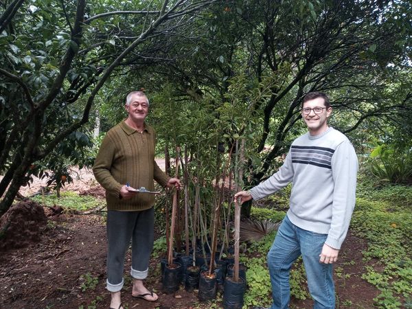 Harmonia - Prefeitura instala canos e planta 40 árvores no Canto Lerner