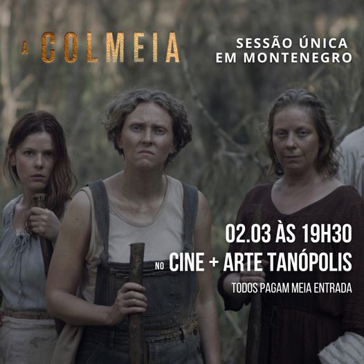 " A Colmeia" 