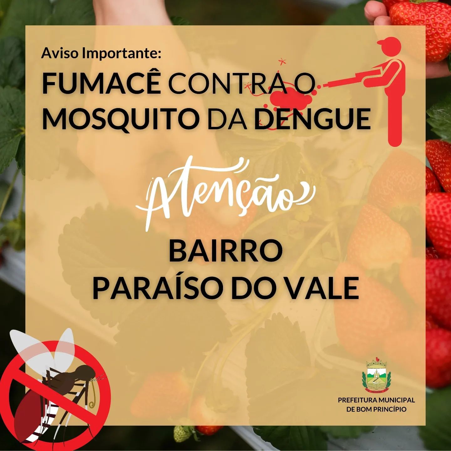 Confirmados mais dois casos de dengue