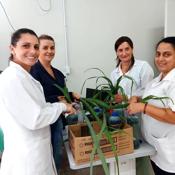 Equipe da Saúde preparou repelente