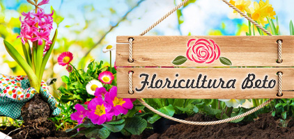 Floricultura Beto