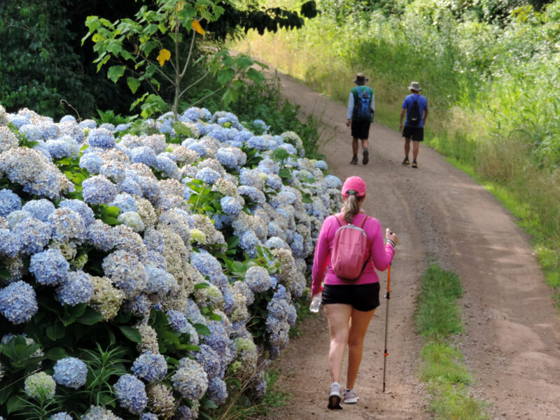 Caminhada e pedal em comemoração aos 120 anos da Sicredi Pioneira