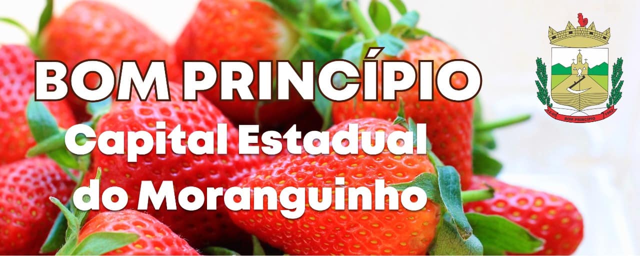 Adesivos de identificação de Bom Princípio passarão a ser distribuídos no sábado