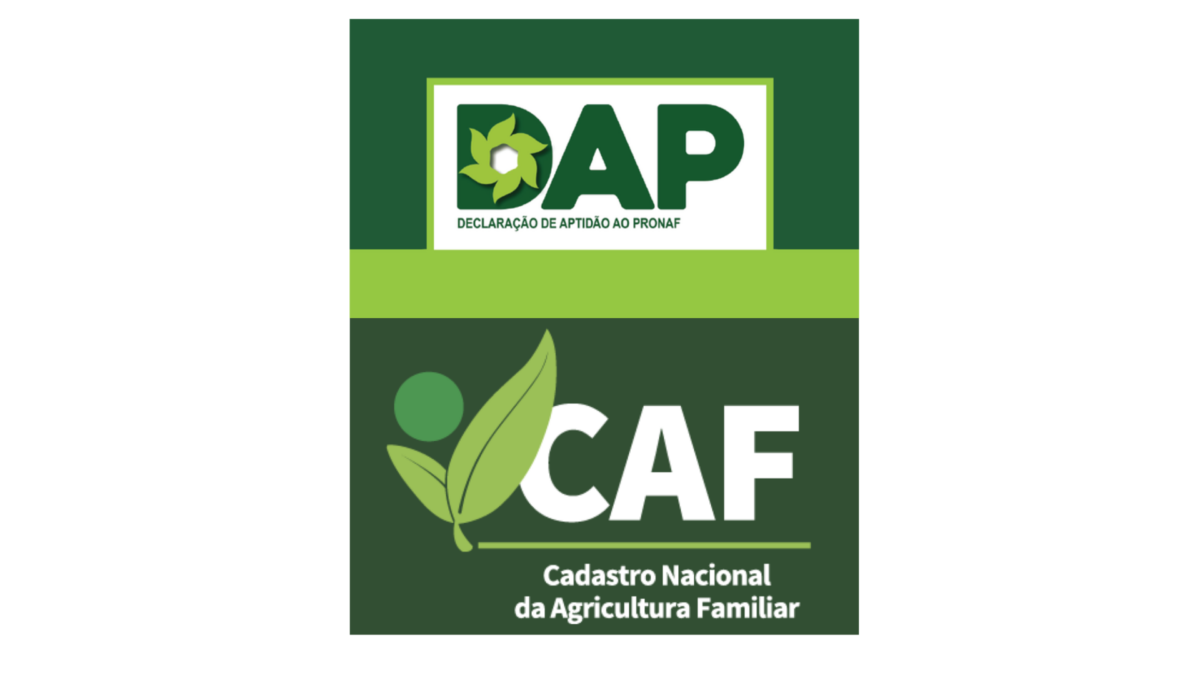 Entrevista traz esclarecimentos sobre a DAP e o CAF