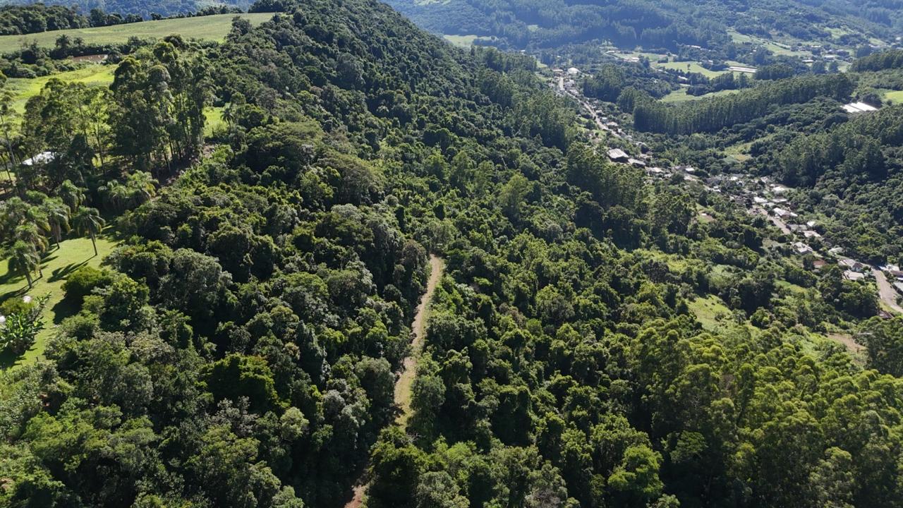 Parceria vai reabrir estrada que liga Morro Carrard a Floriano Peixoto