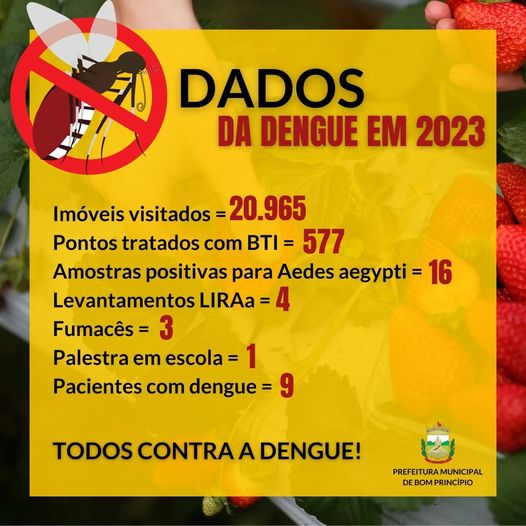 O combate à dengue é uma luta permanente