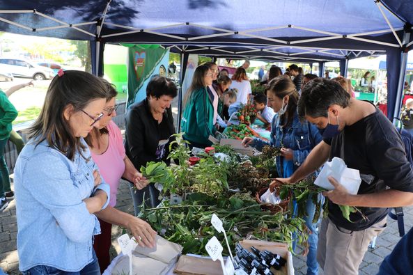 Bom Princípio - 3ª Feira de Troca de Mudas e Sementes