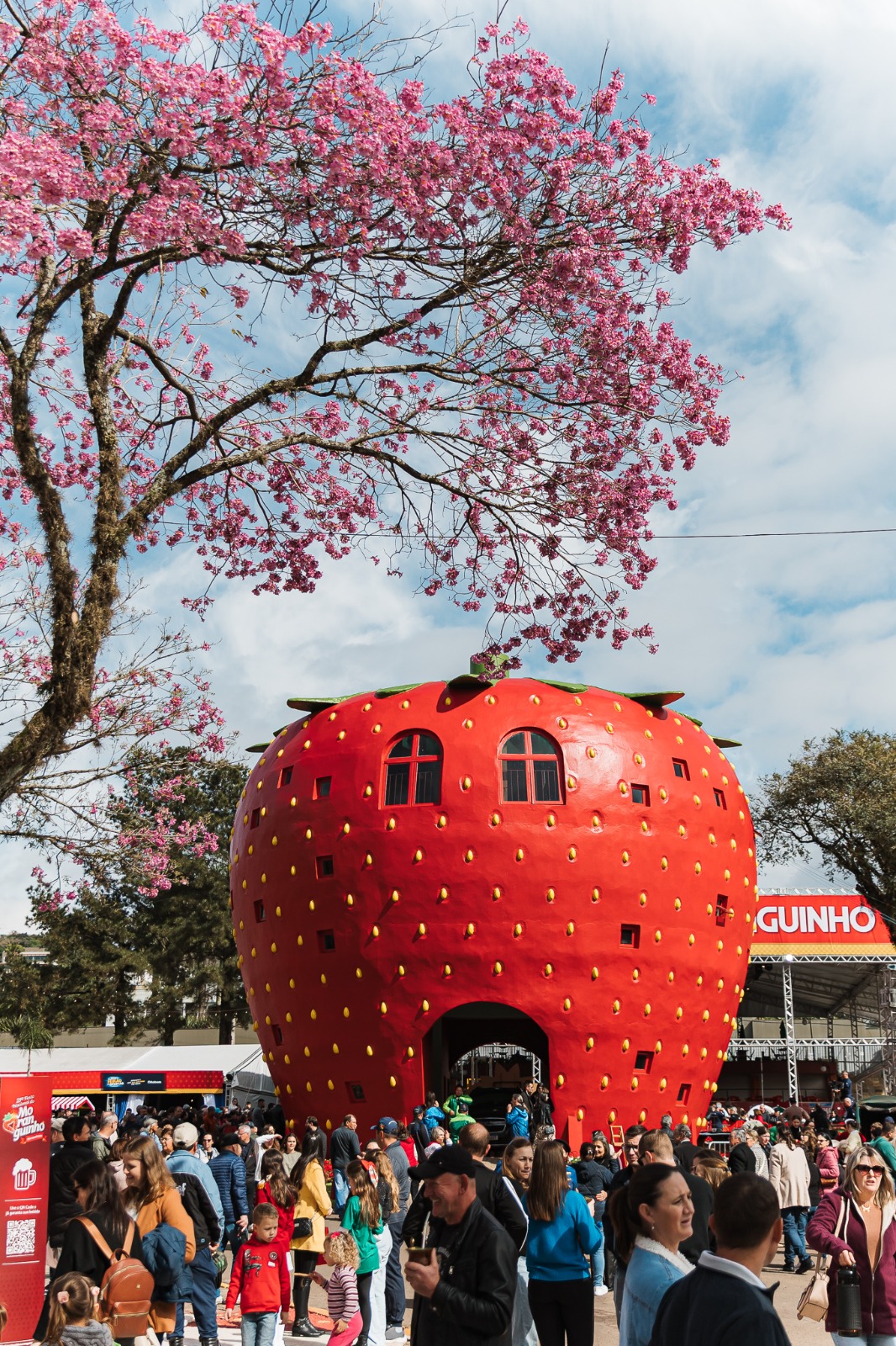 Ipê é oficializado como árvore-símbolo de Bom Princípio