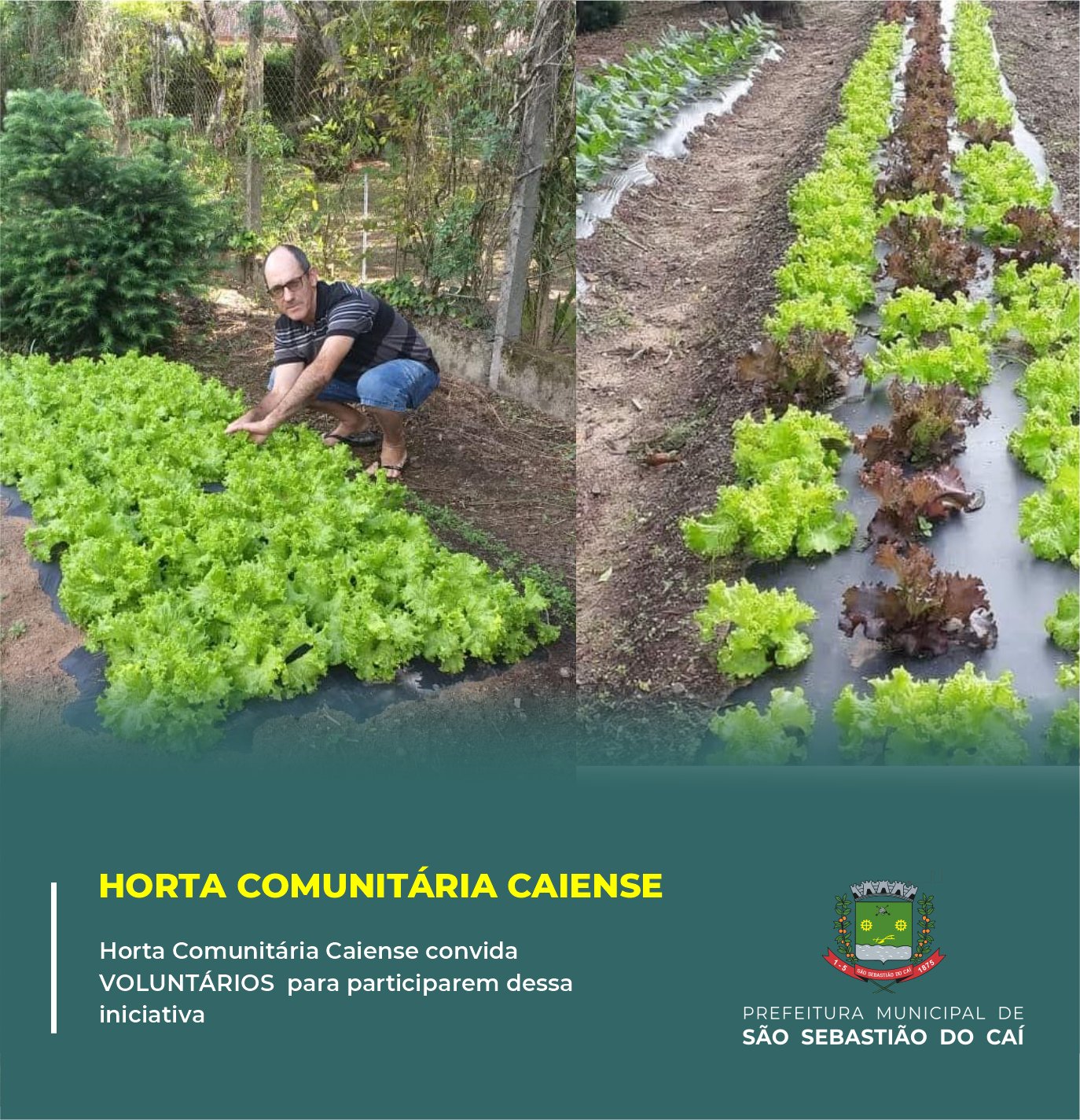 Horta Comunitária Caiense busca novos voluntários