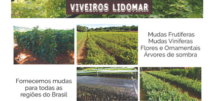 Viveiro Lidomar