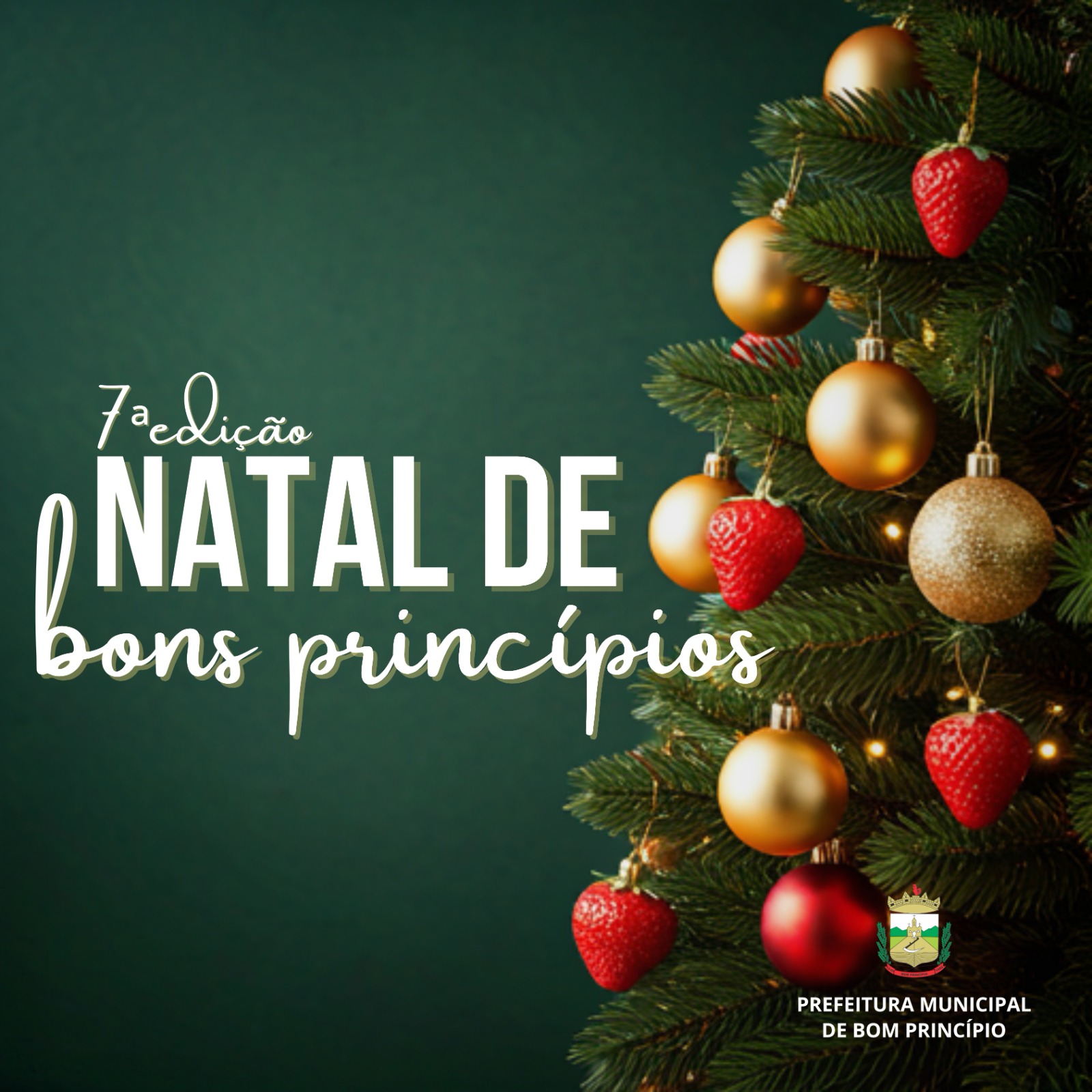 Domingo tem Natal de Bons Princípios no Parque do Morangão