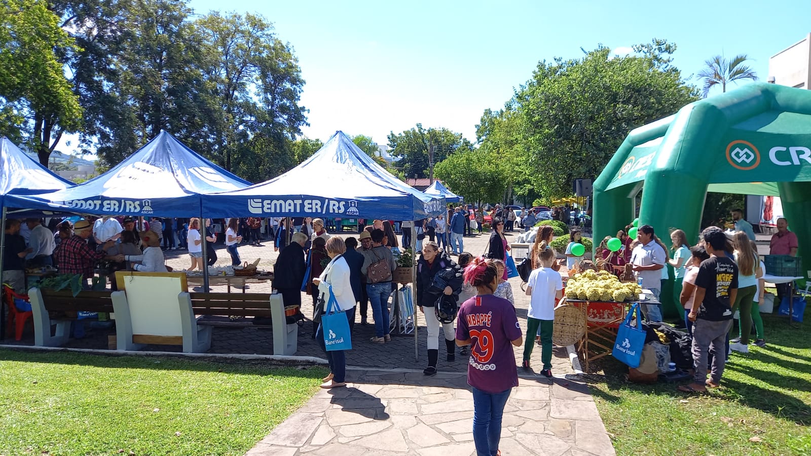 2ª Feira Regional de Troca de Sementes e Mudas é destaque nesta tarde