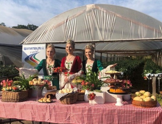 Abertura da Safra do Morango e apresentação do Censo do Morango ocorre em Bom Princípio