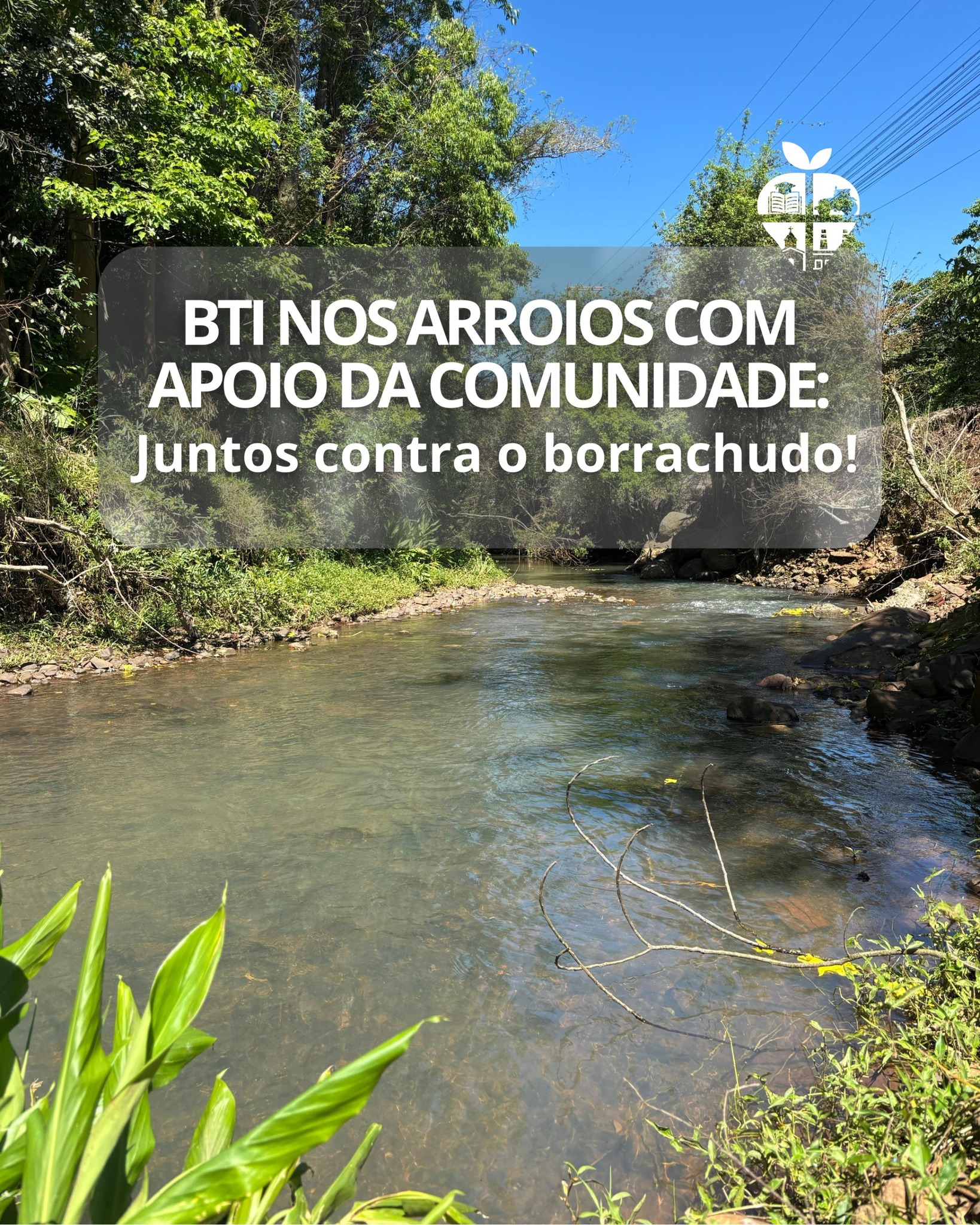 Bom Princípio amplia combate ao Borrachudo