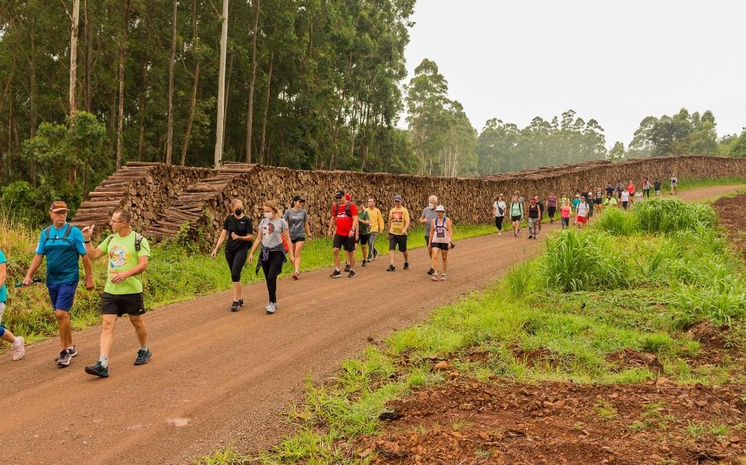 Nova Petrópolis- Caminhada do Pinhal Alto a Santa Inês acontece no próximo domingo