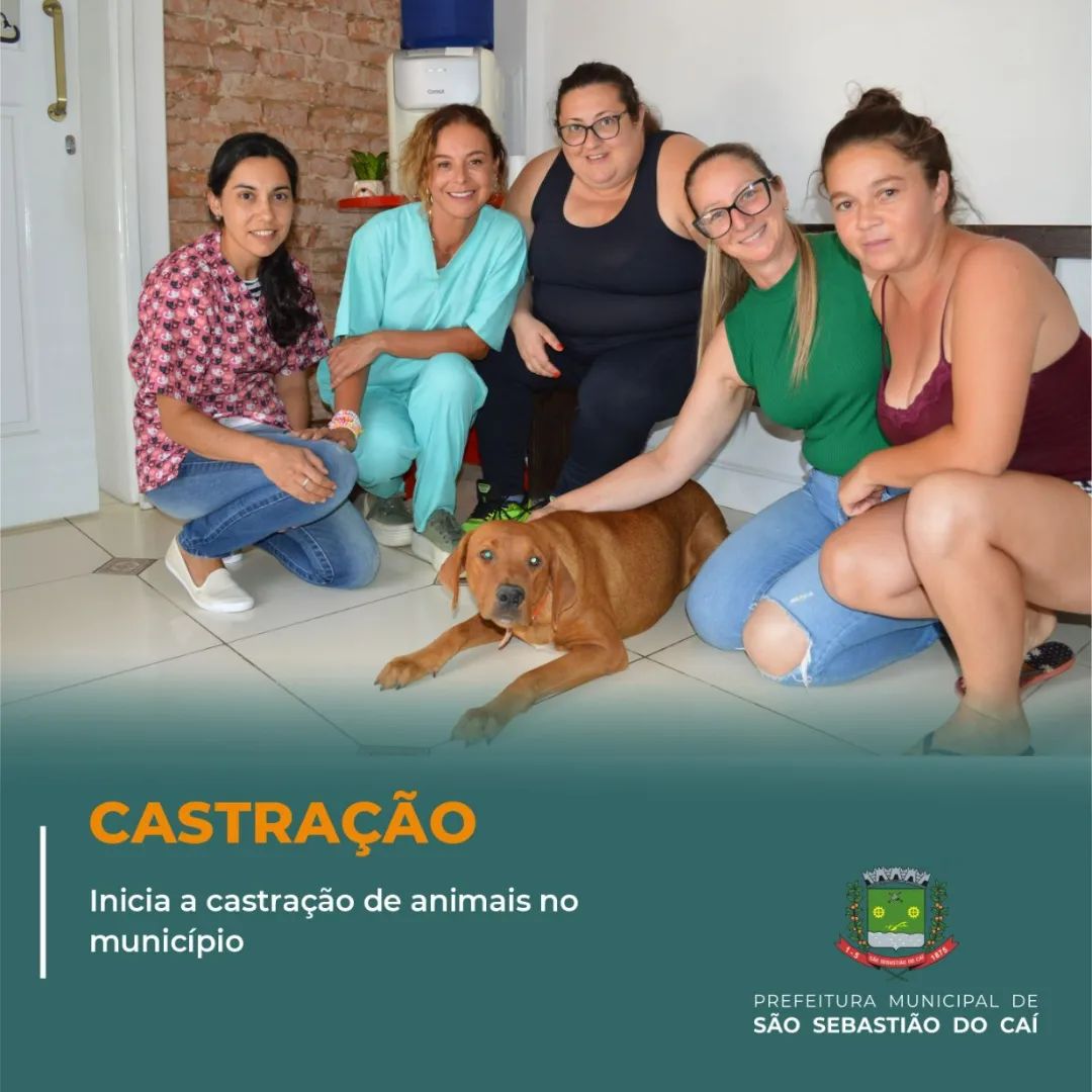 Caí faz castração gratuita de cães e gatos