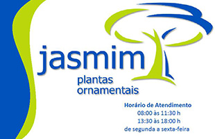 Jasmim Plantas Ornamentais