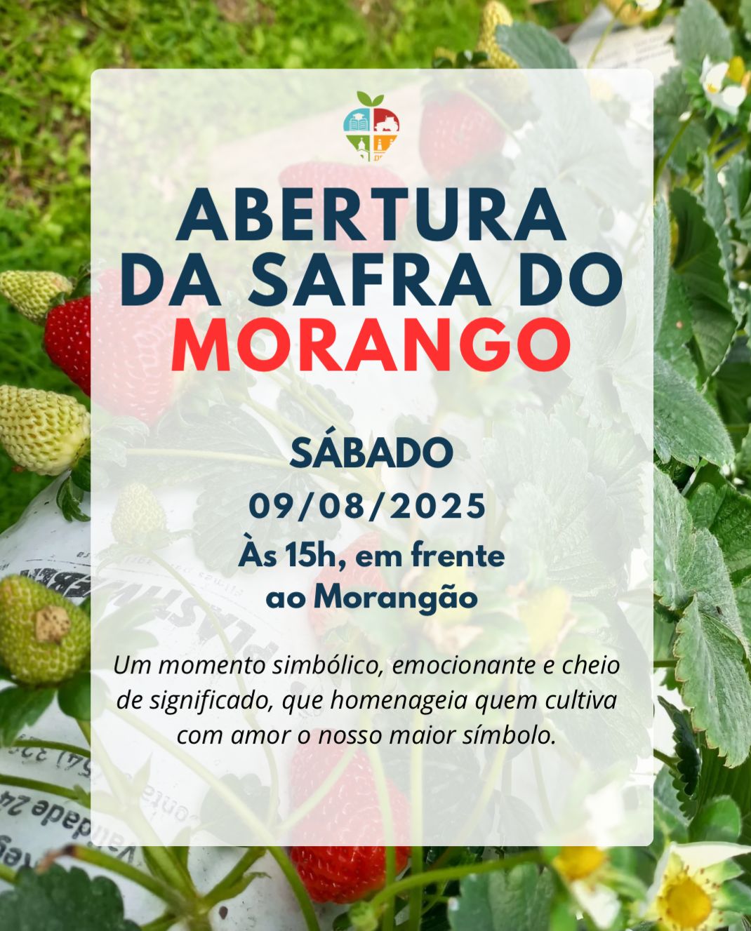 Abertura da Safra do Morango será neste sábado