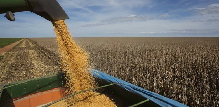 Selo vai identificar produtos agropecuários de origem brasileira no exterior