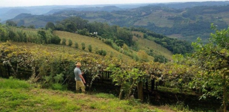 Aberto prazo para entrega da declaração do imposto sobre área rural