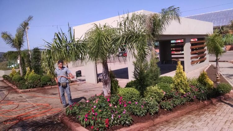 Vinte mil mudas são plantadas para a Citrusflor