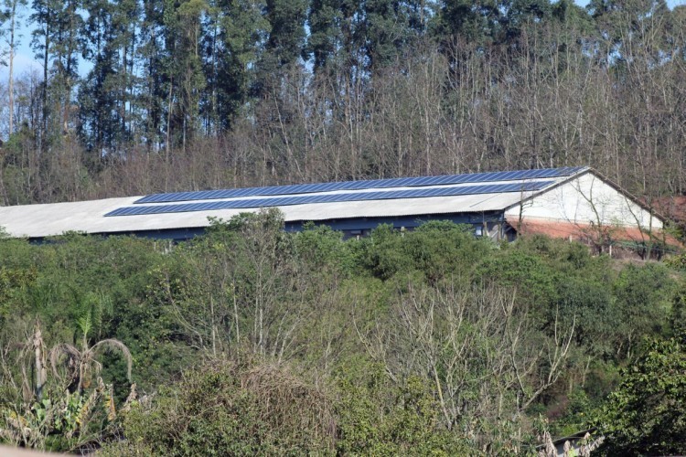 Aviários com energia solar