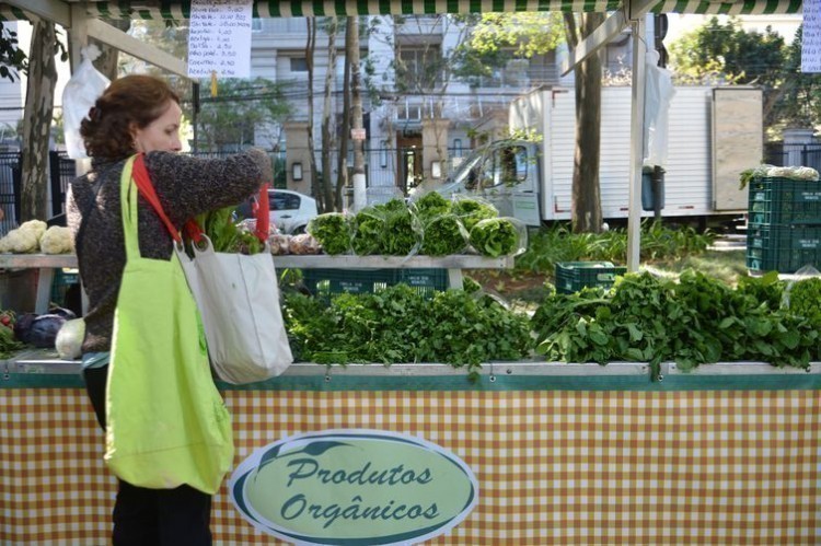 Especialistas defendem mais subsídios, para aumentar a produção orgânica no Brasil