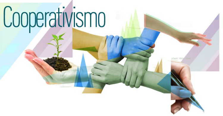 Cooperativismo é responsável por 11% do PIB agropecuário brasileiro