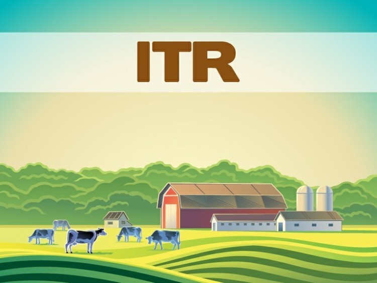 Começa segunda-feira prazo para Declaração do Imposto sobre a Propriedade Rural