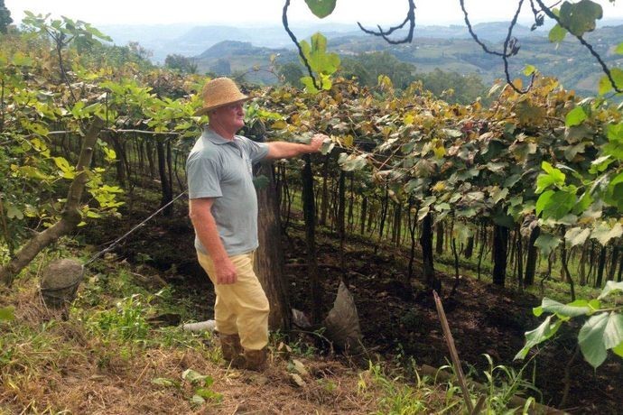 Mudam normas da declaração do Imposto sobre a Propriedade Territorial Rural