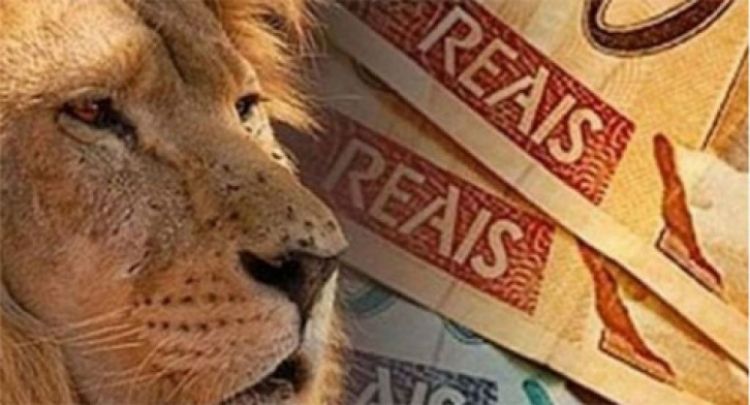 Entra em vigor lei que aumenta o Imposto de Renda sobre o ganho de capital