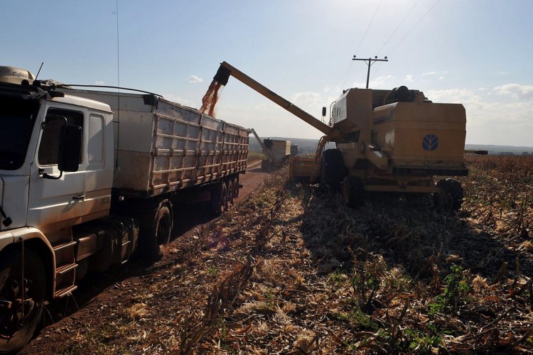 Medida provisória deve ampliar créditos para financiamento do agronegócio