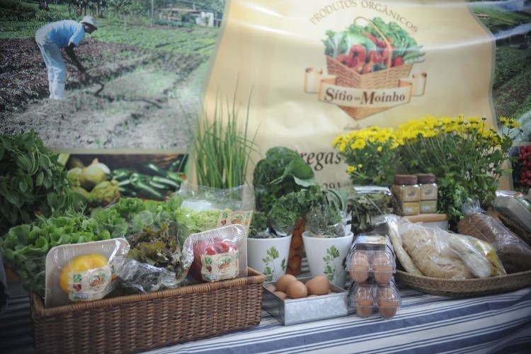 Dia Mundial da Alimentação destaca valor da alimentação saudável