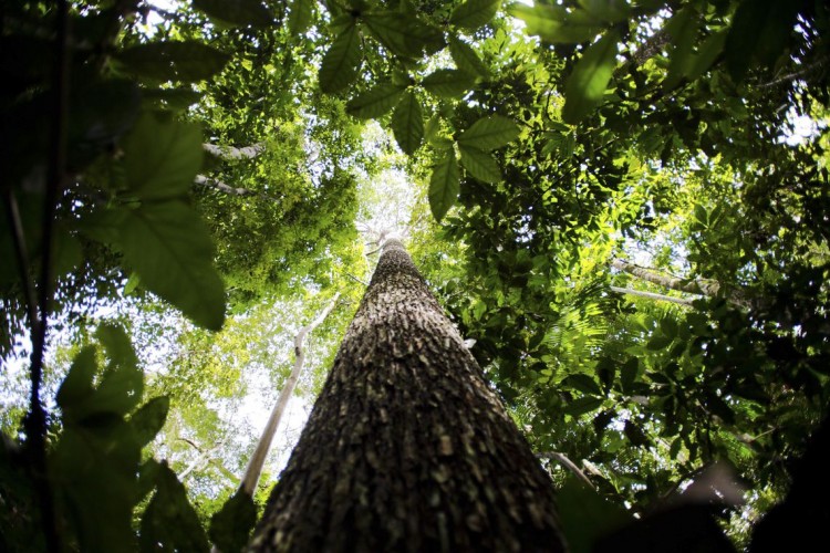 Empresários avaliam que o licenciamento ambiental é fundamental