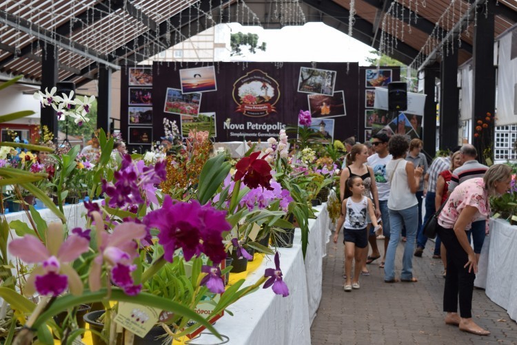 Verão no Jardim da Serra Gaúcha vai agitar Nova Petrópolis