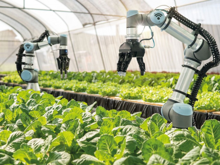 Programa do governo federal estimula inovações no setor do agronegócio