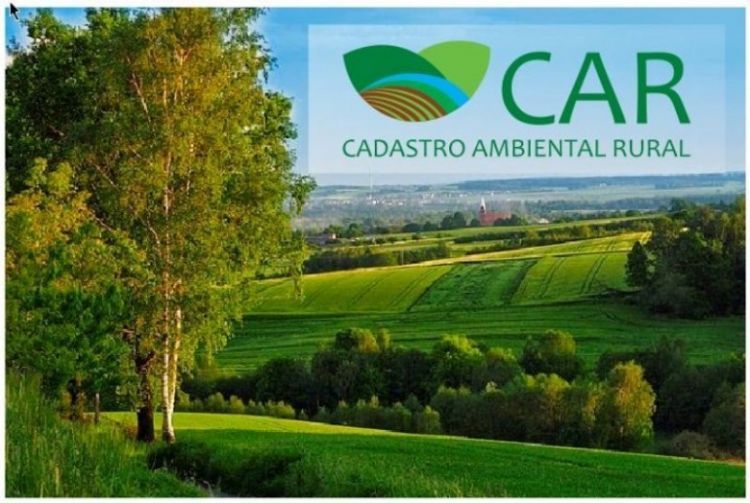 Prazo para fazer Cadastro Ambiental Rural termina na quinta-feira, dia 5