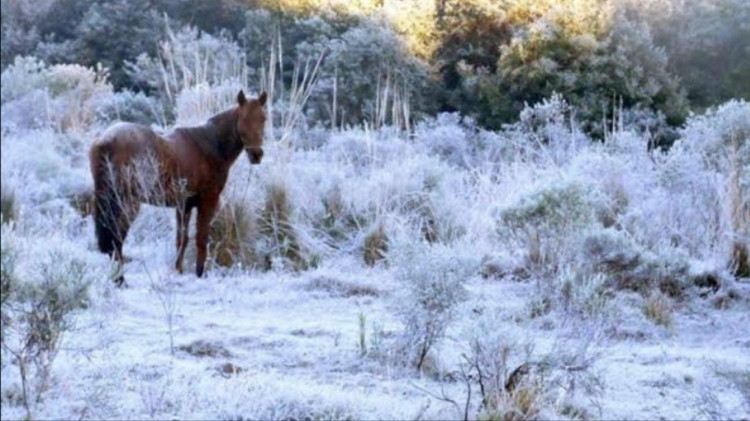 Começa o inverno: previsões são de mais frio e menos chuva