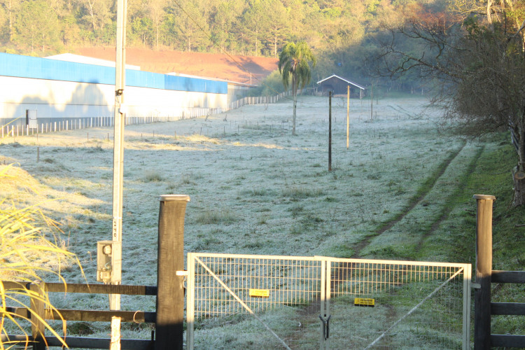 Prepare-se: vem muito frio a partir de domingo