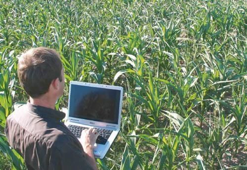 Ampliado prazo para produtor rural do RS adotar Nota Fiscal Eletrônica