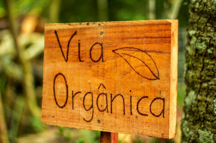 RS ganha roteiro turístico de produtos orgânicos