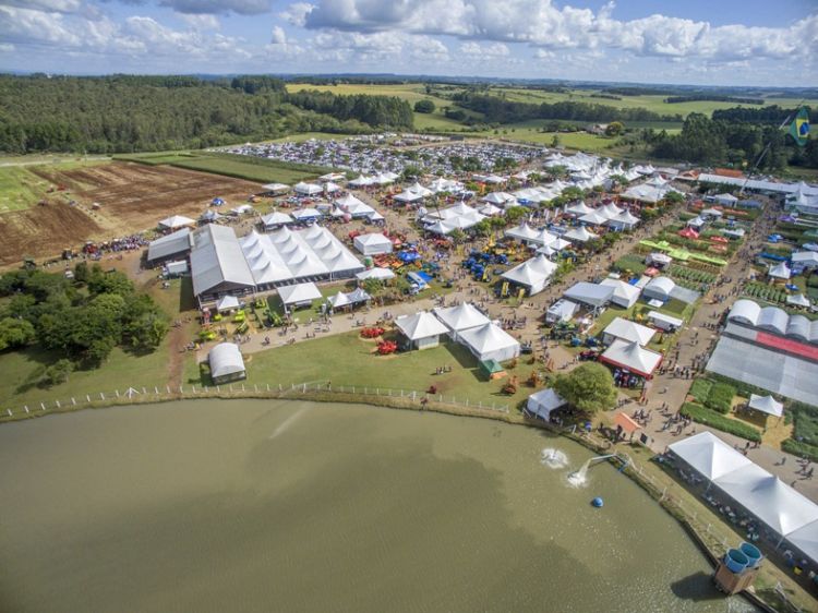 Agroindústria familiar é destaque na Expoagro Afubra em Rio Pardo