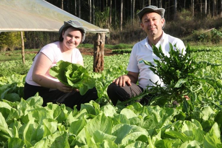 Expodireto e Expoagro abrem inscrições para pavilhões da Agricultura Familiar