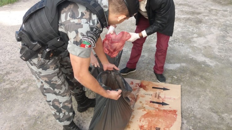 Carne para venda é apreendida dentro de saco de ração para cachorro